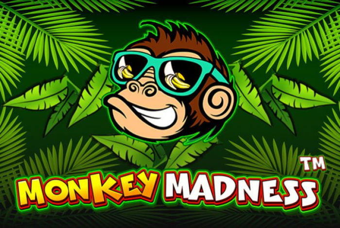 monkey madness slot